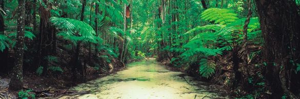 Wangoolba Creek, K'gari