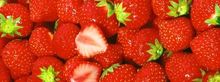 A Sweet Way To End The Summer - Enjoy A \'Strawberry Dales\' Break At The Devonshire Arms Country House Hotel