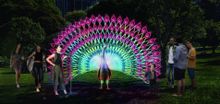 Regal Peacock
