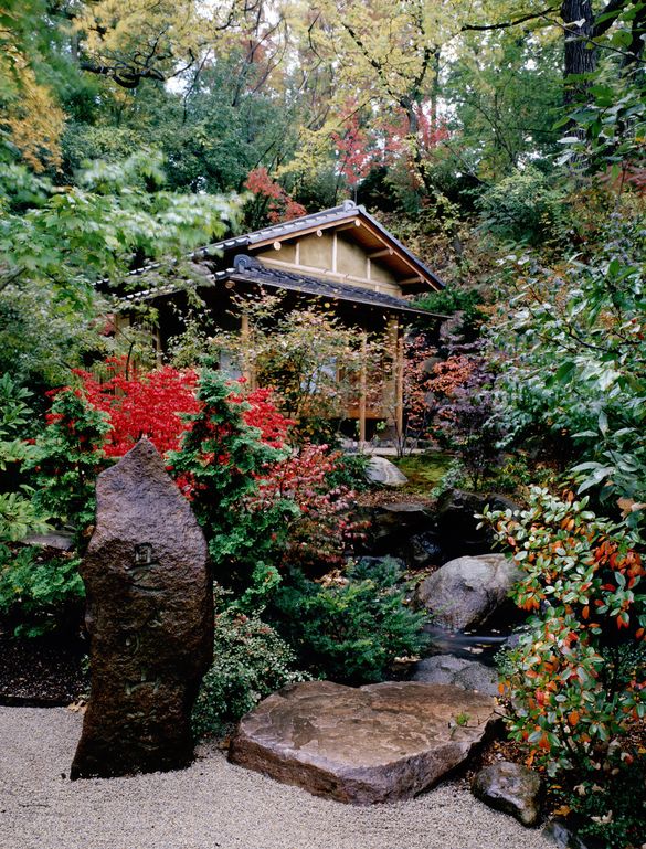 Anderson Gardens