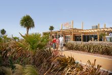 Visit The Crabstock Festival In Devon This September