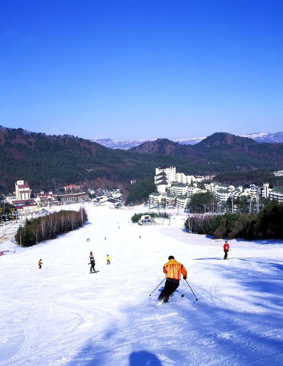 Yong Pyong Ski Resort