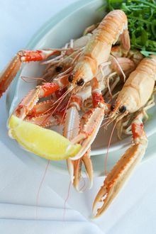 Local Catch