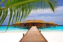 The Maldives 