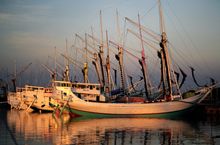 Schooners, Indonesia