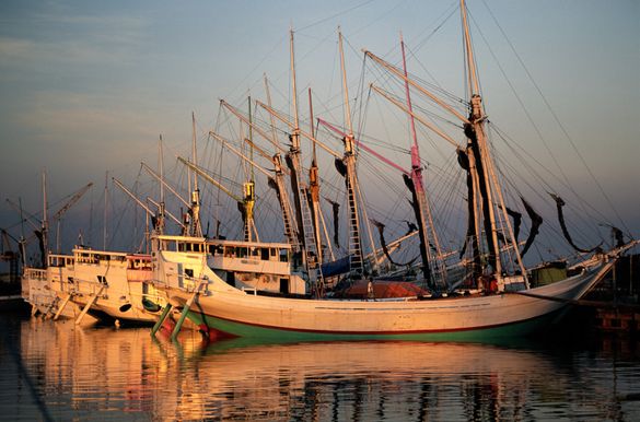 Schooners, Indonesia