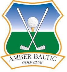 Amber Baltic