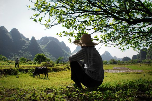 Resting Yangshuo-style