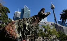 Tyrannosaur Visits Sydney for new exhibition at Australia Museum