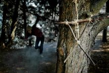 Blair Witch Project
