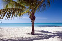 Caribbean Beach
