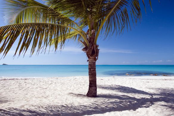 Caribbean Beach