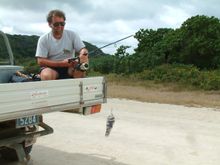 Mark Holdsworth 'trolling' for goshawks with a toy mouse