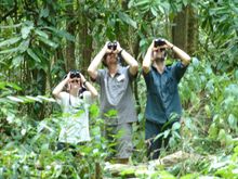 Binocular-clad eco-tourists at Christmas Island's Bird'n'Nature Week