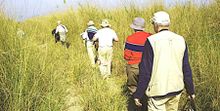 Walking Safari