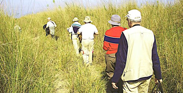 Walking Safari