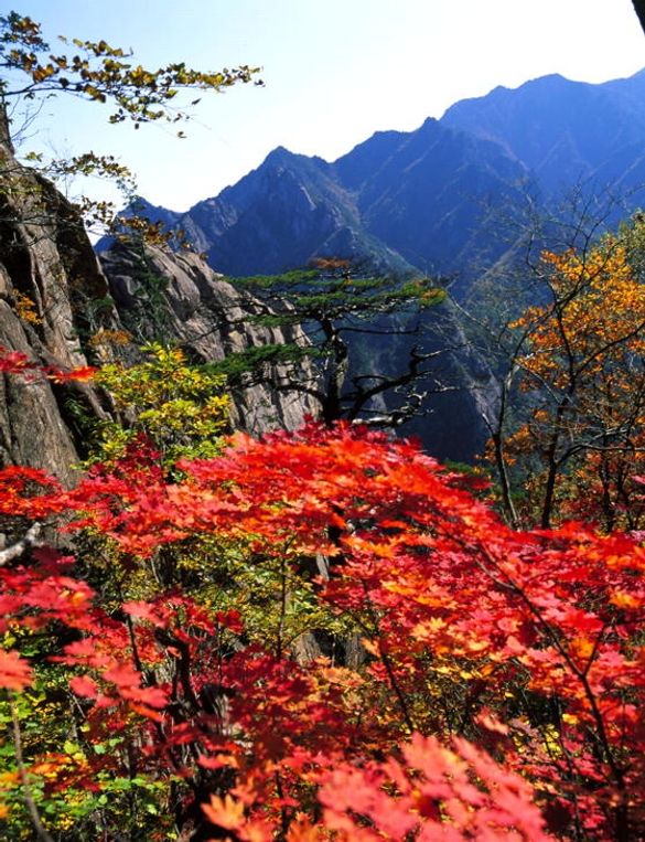 Mt. Seorak