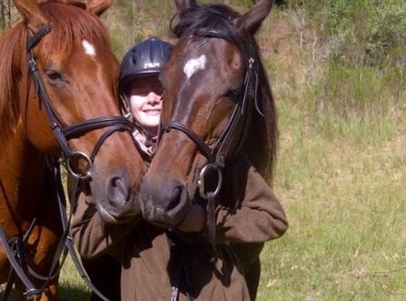 Beautiful horses