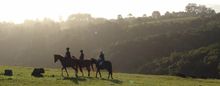 Views on the trial with the Horses