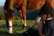 Coffee break with the horses