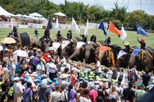 Elephant Buffet 