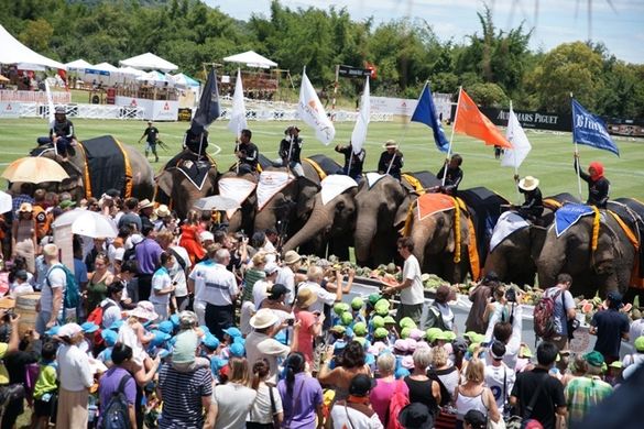 Elephant Buffet 