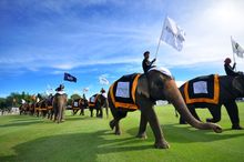 Elephant Parade 