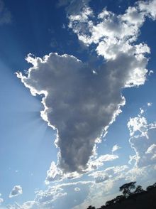 “African Sky – Literally!” by Paul Hawley is one of Safarious’ Curious By Nature Photo Contest heat one winners