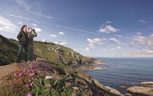 Swarovski Optik Launches New Compact Cl Pocket Binoculars