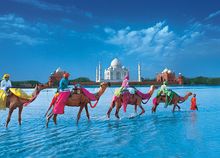 Insight Vacations - India