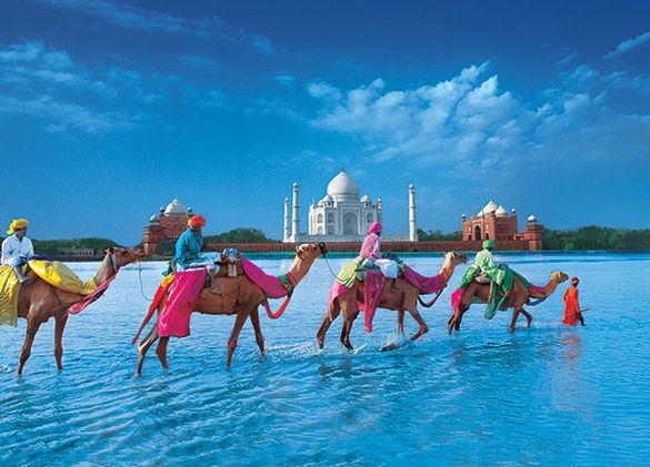 Insight Vacations - India