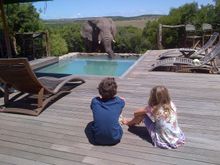 Kids watching Elephant drink water