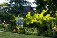 Dewsall Court Gardens