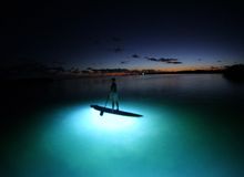Paddle Board Ibis