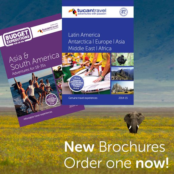 New Brochures