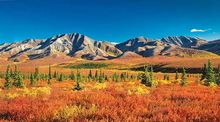 Denali, Alaska