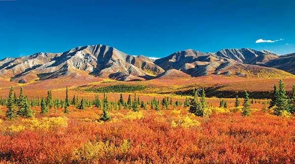 Denali, Alaska
