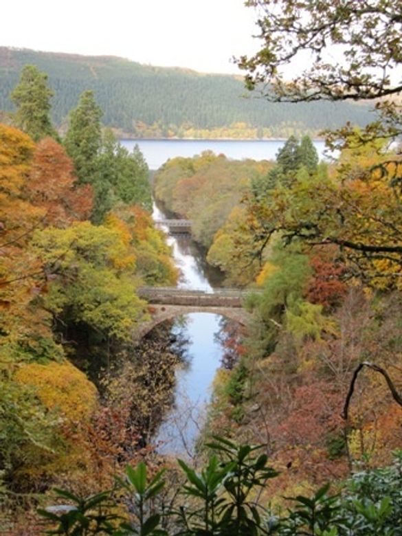 Autumn Colours In The Great Glen