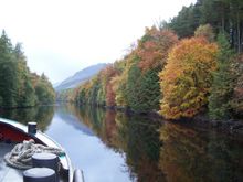 Caledonian Discovery