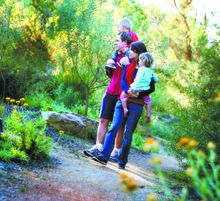 Explore the Australian National Botanic Gardens on an afterDARK Bush Tucker Tour.