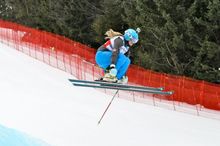 Emily Sarsfield