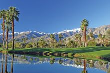 Palm Springs Mesquite 