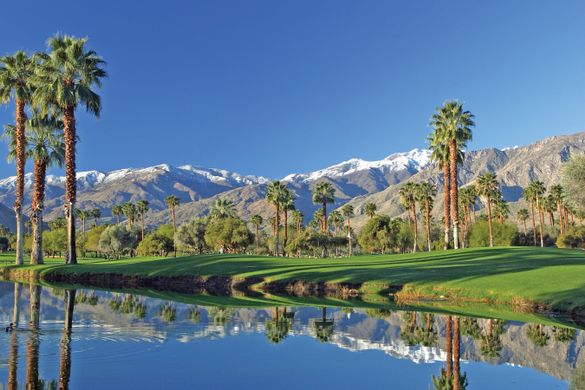 Palm Springs Mesquite 