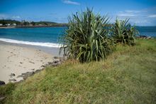 Richmond River, Ballina NSW