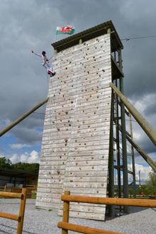 Climbing Elvis