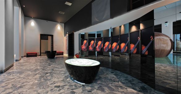 Museo del Violino