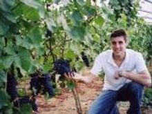 Sam And Camel Valley grapes