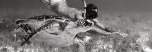 The Moorings - New Branding - Tahiti