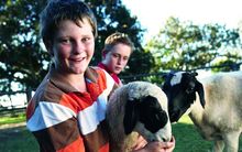 Spicers Hidden Vale family farmstay