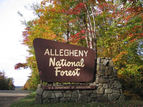 Fall colors peak the first two weeks of October in the Allegheny National Forest Region, Pennsylvania